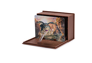 Dragon Movie Mini Collectable Dragons